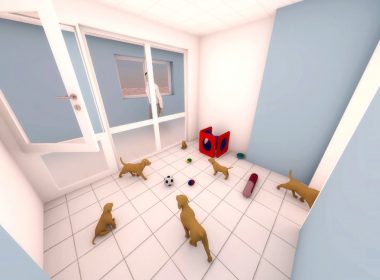 Sensitive build underway at Bath Cats and Dogs Home