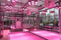 UWE Envirotron Greenhouse