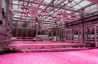 UWE Envirotron Greenhouse