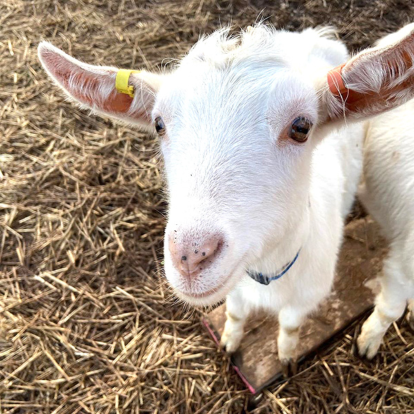 Be Empowered Farm Futures