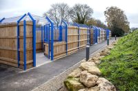 Bath Cats and Dogs Home