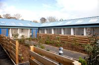 Bath Cats and Dogs Home