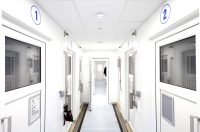 Bath Cats and Dogs Home