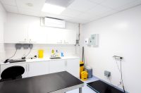 Bath Cats and Dogs Home