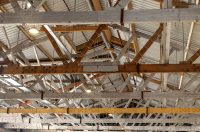 Conservation in Action Workshop – Aerospace Bristol